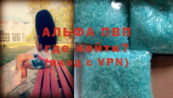 индика Белокуриха