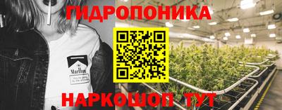 дурь Гатчина