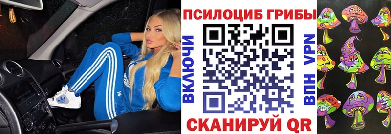 blacksprut tor  Печора  Псилоцибиновые грибы Magic Shrooms 