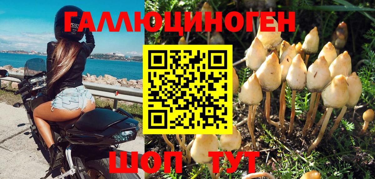 Галлюциногенные грибы мухоморы  Вход с VPN  Печора 