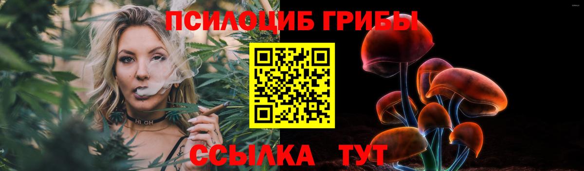 Псилоцибиновые грибы Psilocybe Печора