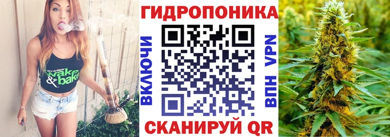 Конопля MAZAR  Печора 